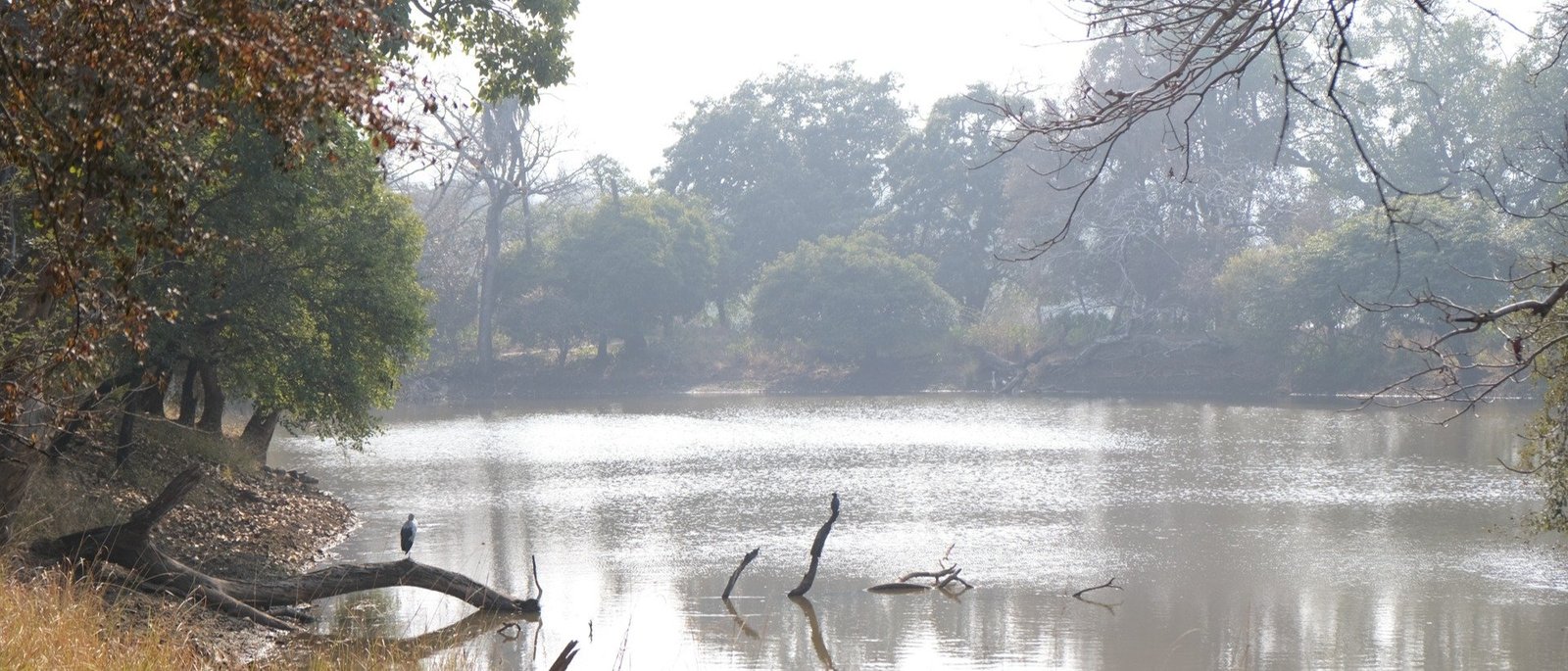 Sariska Tiger Reserve Private Jeep Safari - Same Day Tour from Jaipur