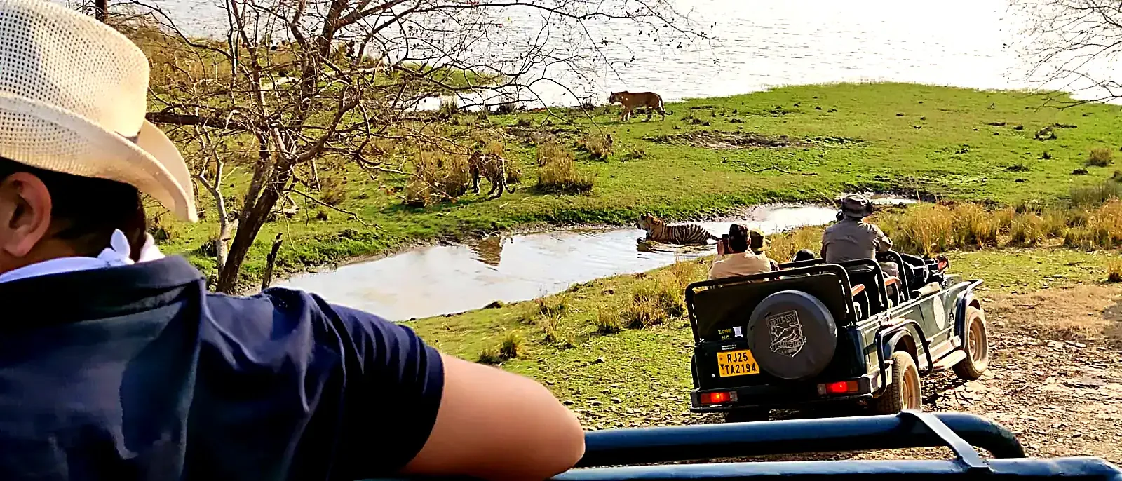 Same-Day Trip to Ranthambore Tiger Reserve - Jungle Safari from Jaipur