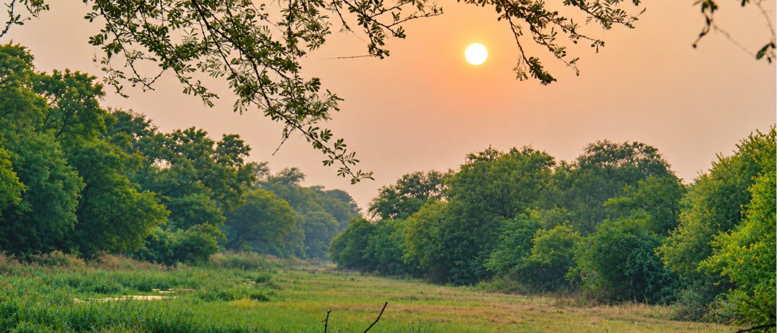 Same-Day Bharatpur Bird Sanctuary Tour - Private Day Trip from Jaipur