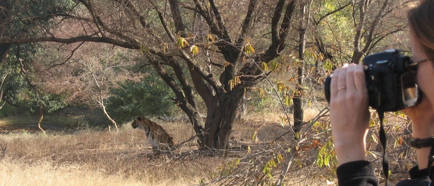 Sariska Tiger Reserve Private Jeep Safari - Same Day Tour from Jaipur