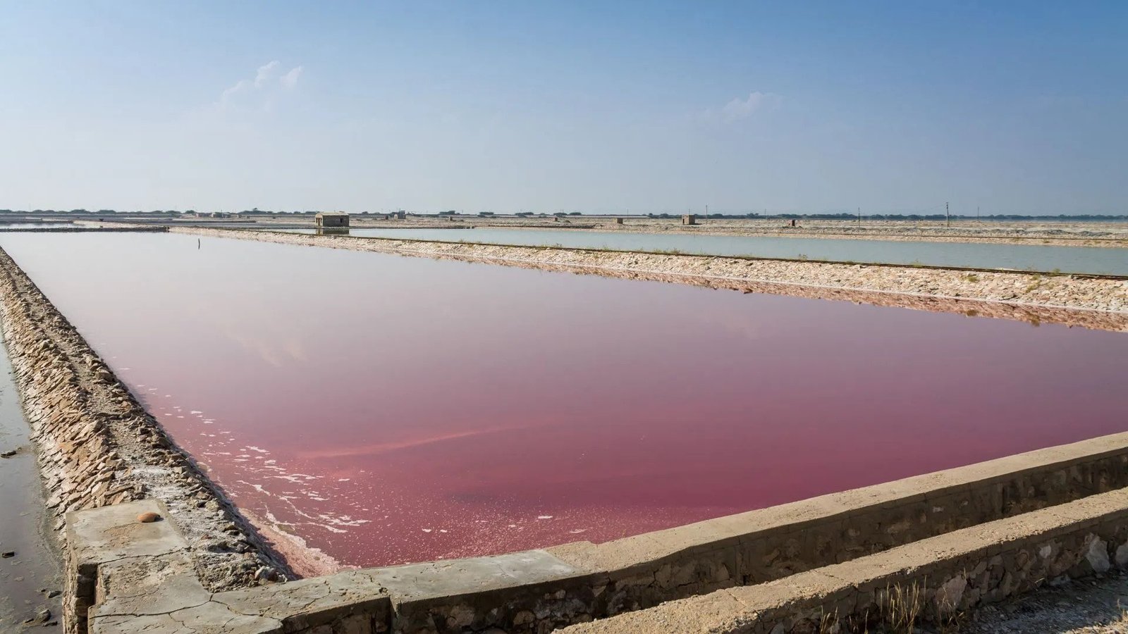 Same-Day Tour to Sambhar Lake + Shakambari Mata - Offbeat Desert Lake Day Trip from Jaipur