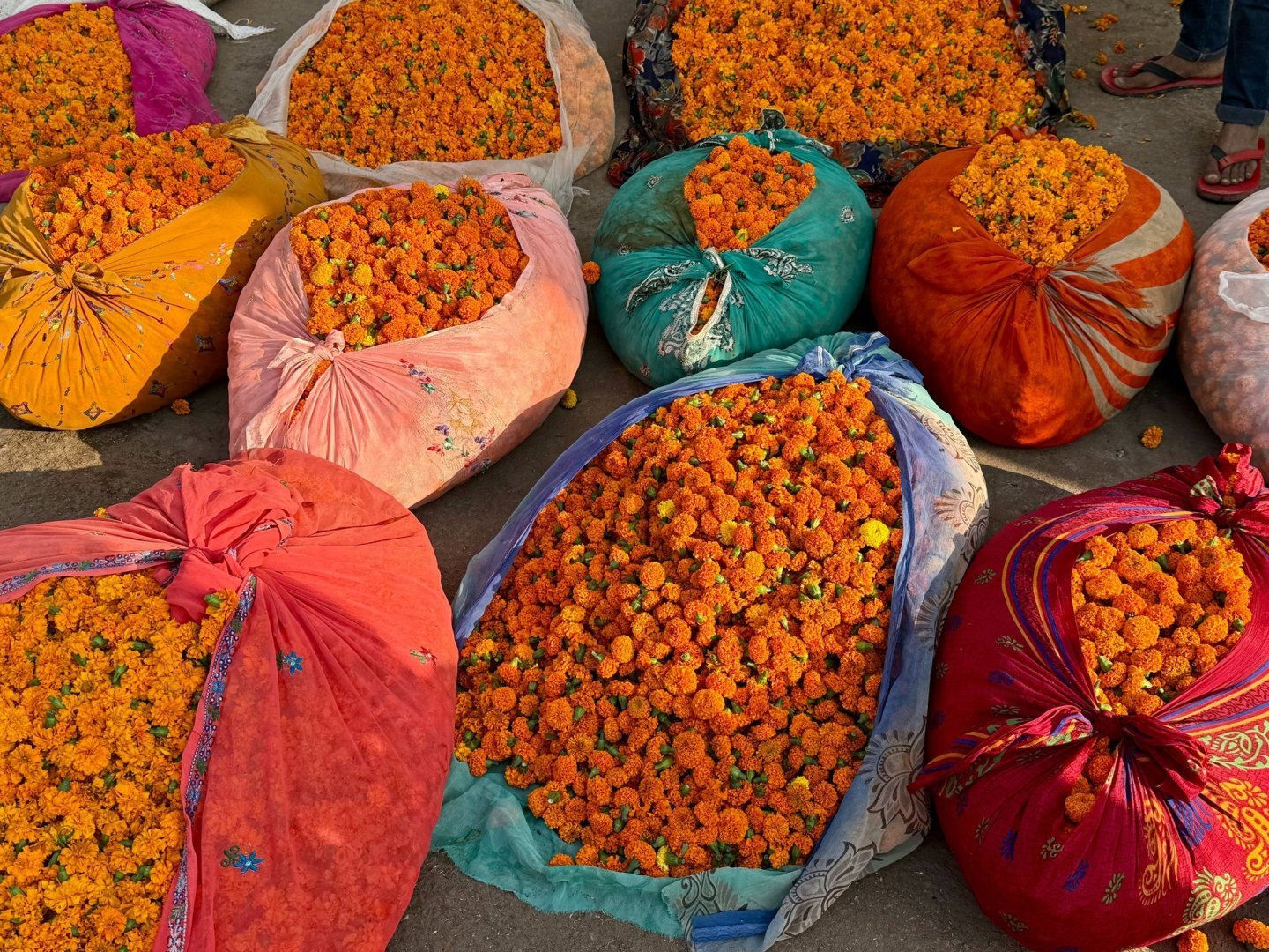 Real Jaipur Morning Walk - Flower Market, Chai & Temple