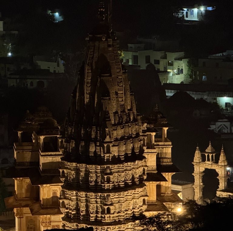 Jaipur Night Safari: The Pink City After Dark - Open Jeep Tour