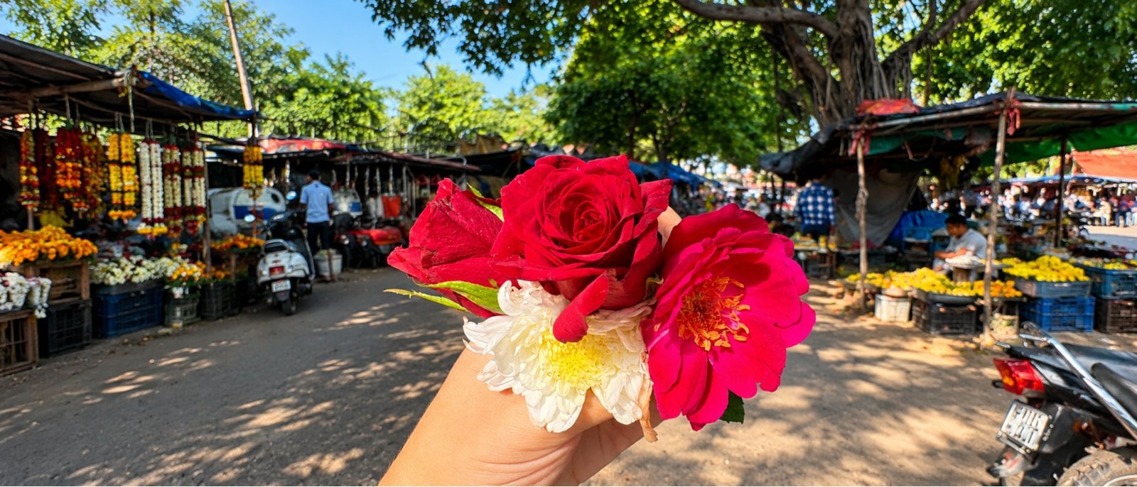 Real Jaipur Morning Walk - Flower Market, Chai & Temple