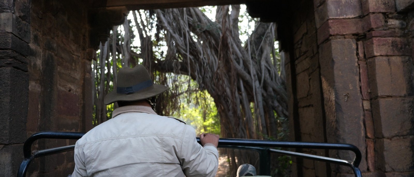 The Tiger Trail - 1 Night / 2 Days | Ranthambore Double Safari