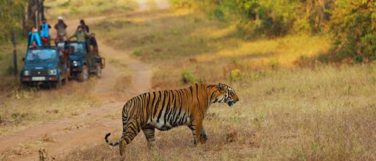 The Blue City's Hidden Cousin - 1 Night / 2 Days | Bundi Heritage & Wildlife